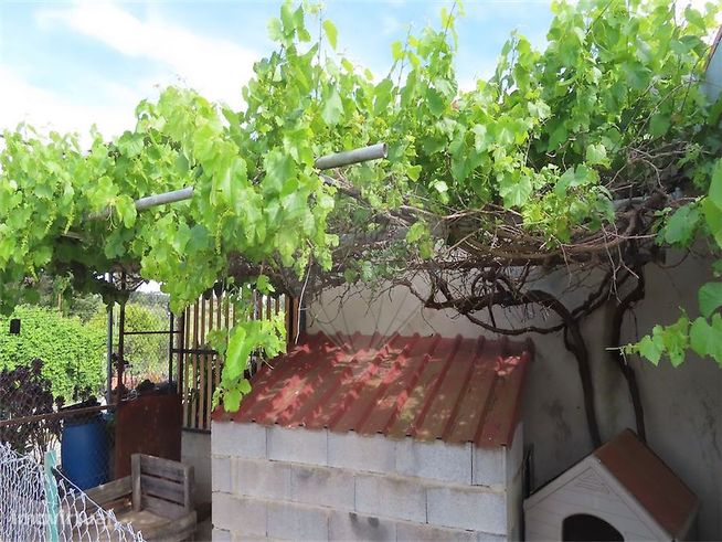 Quinta  para venda-18