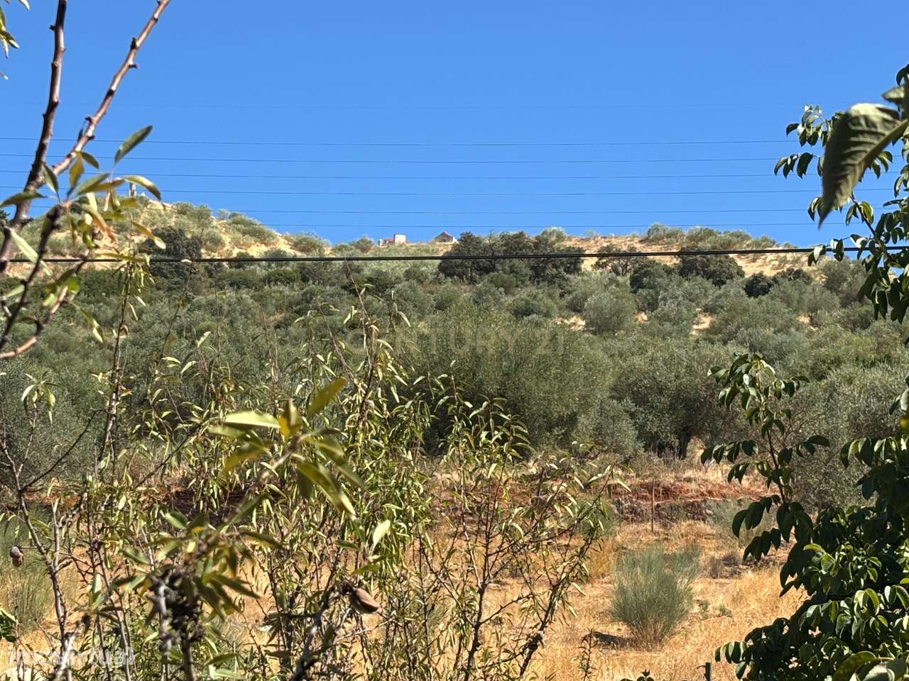 Quintinha com Moradia T2 + Armazém | 2ha vedados | Rio | Fruteiras | A-27