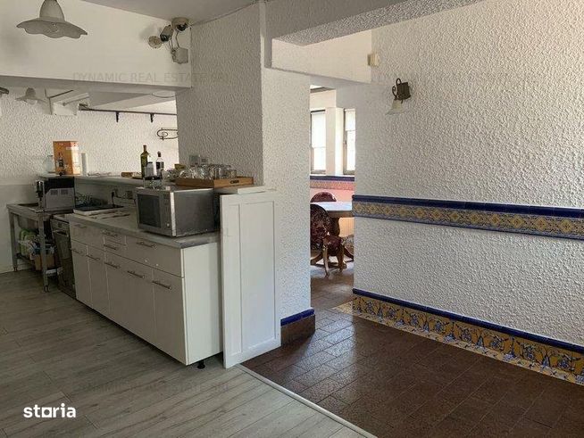 Cismigiu - Vila - Restaurant - 10 Camere - Centrala-10