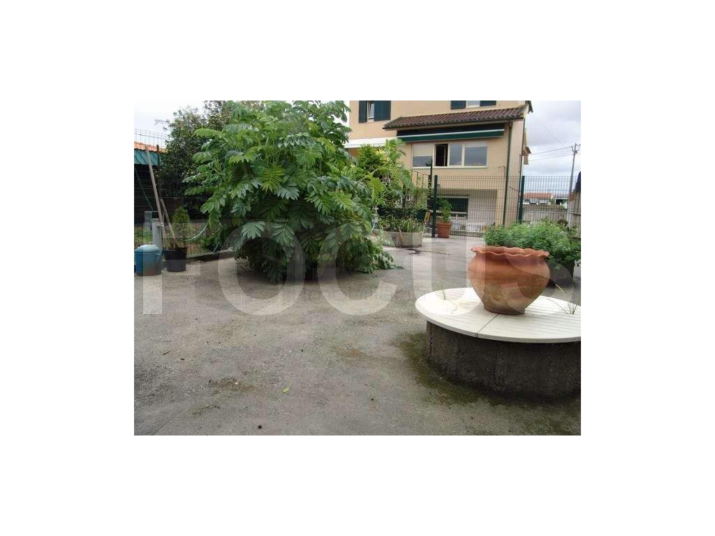 Moradia Isolada com quintal - São Bernardo - Grande imagem: 3/39