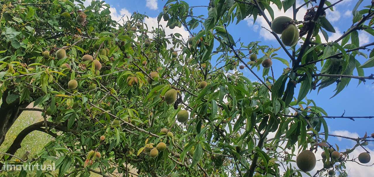 IMPERDÍVEL  Quinta em Foros do Carrapatal, Canha Montijo 51.000m2-9