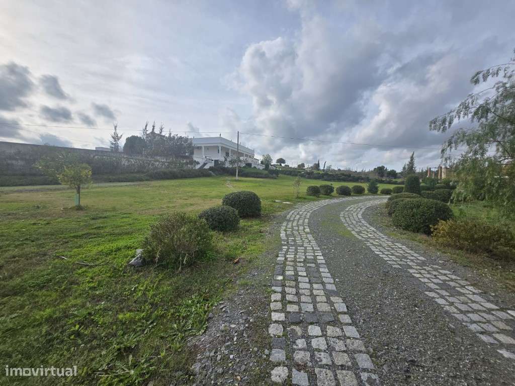 Simpática Quintinha inserida em 30000 m2, na Vidigueira - Grande imagem: 4/39