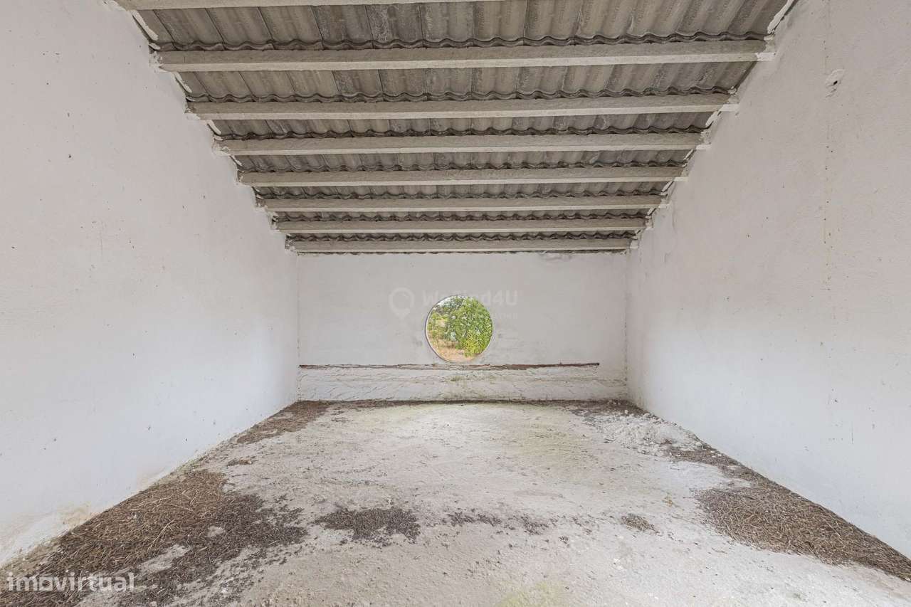 Quinta do Sol - Pegões-37