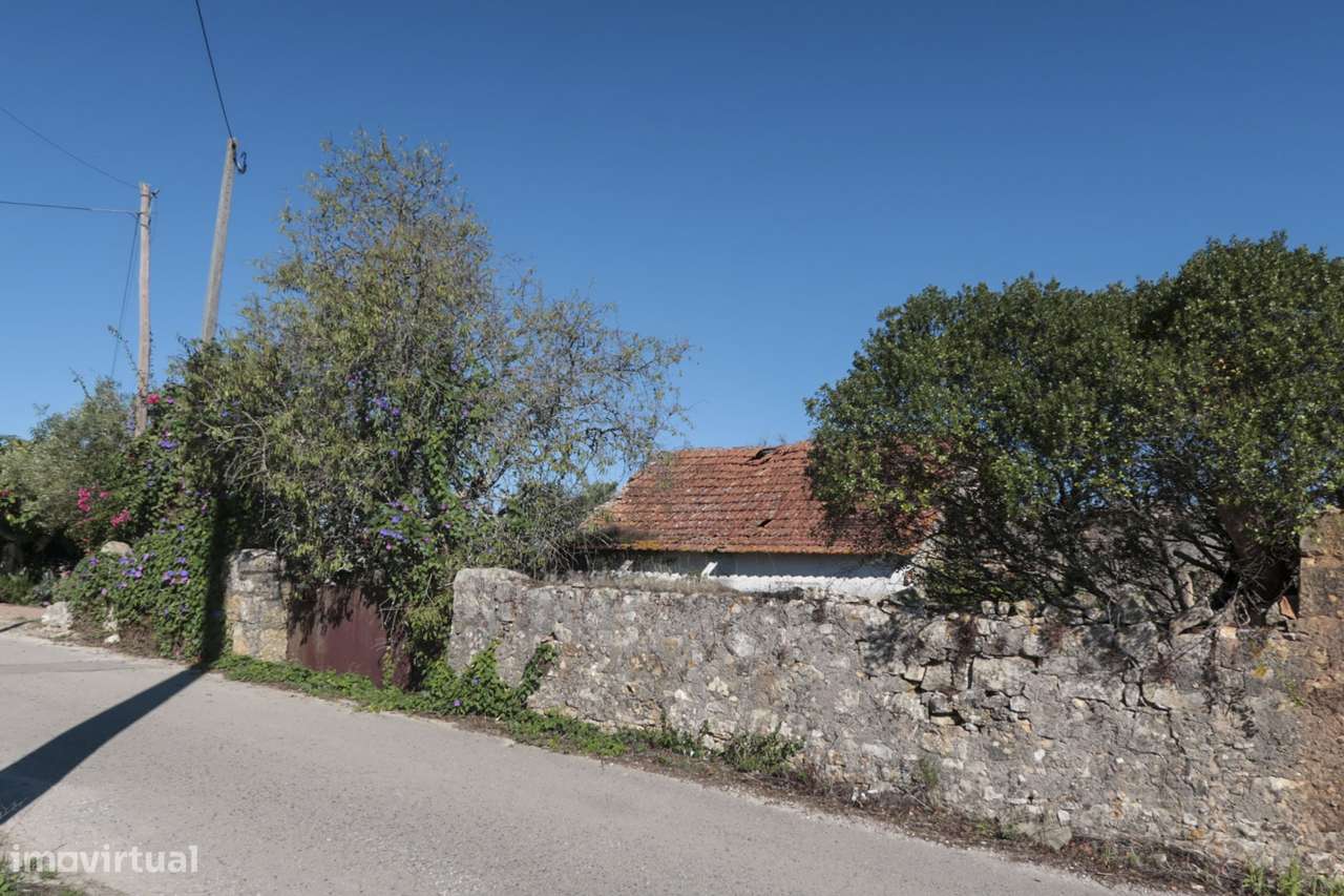 Terreno Urbano - 2 Artigos - Vale da Perra - Fátima - Ourém-5
