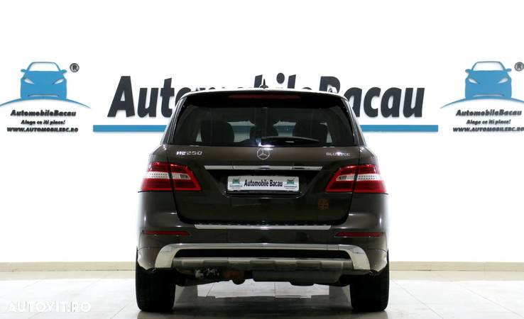 Mercedes-Benz ML 250 BlueTec 4MATIC Aut - 25