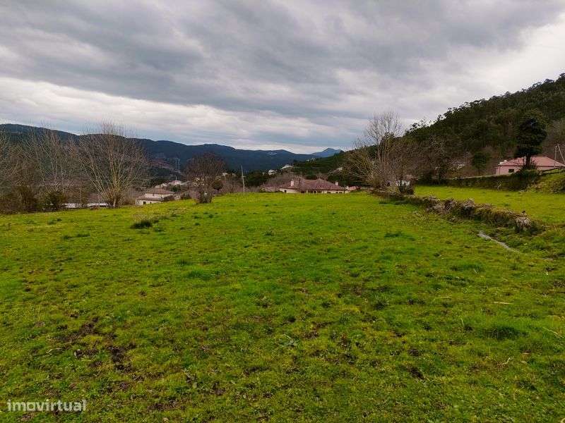 Quinta com 20 000 M2 em Santa Marinha - Ribeira Pena - Grande imagem: 5/12