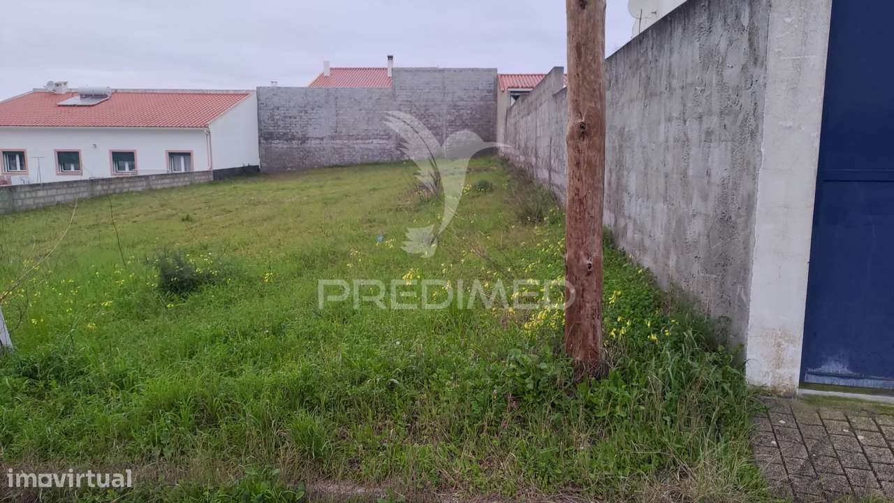 Terreno Urbano 502,50 m2 - Carregueira - Chamusca - Grande imagem: 3/22