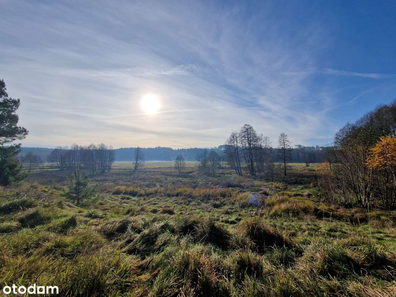 Działka na Kaszubach lasy, rzeka Zbrzyca, lasy, lokalizacja-3