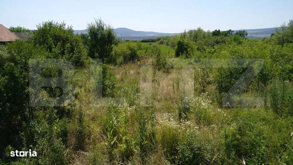 Teren intravilan de vanzare, 7000 mp, DN 17, zona Podirei - Imagine principală: 3/3