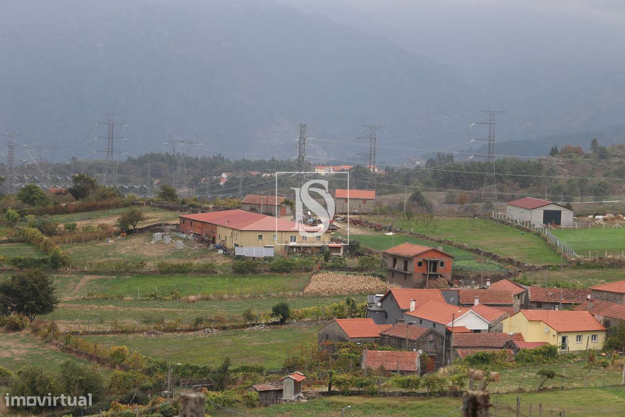 Vivenda de campo e vários terrenos para venda em Zebral, Vieira do Min-45