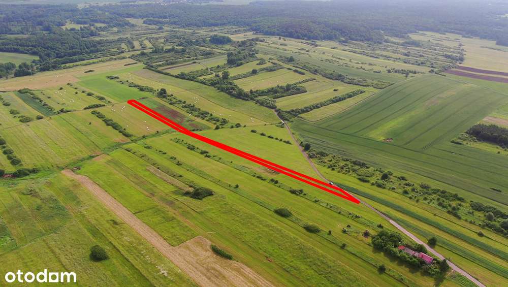 Działka rolna Poręba-Niwki-7