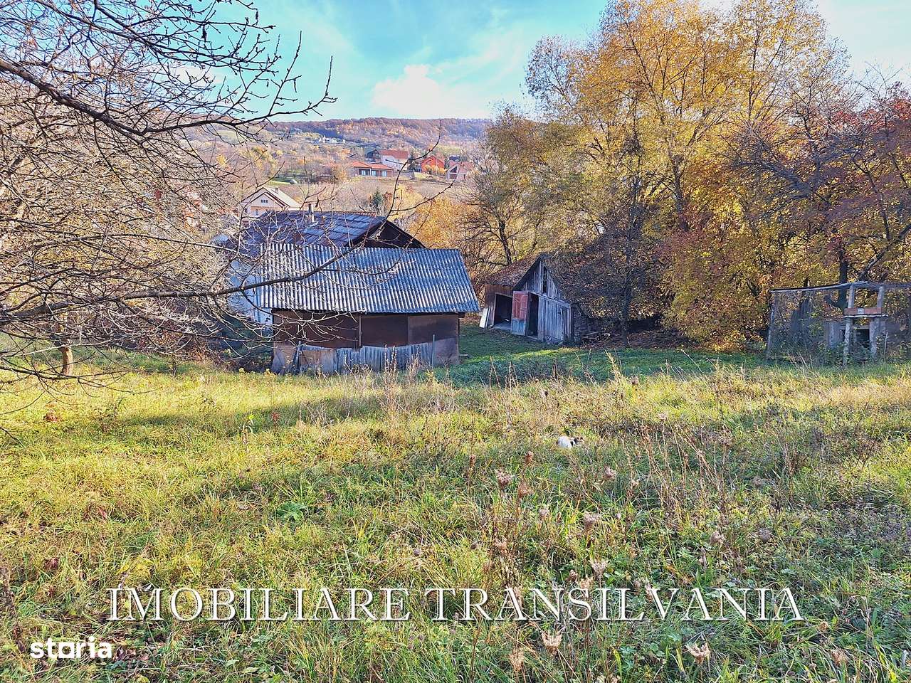 Teren intravilan 4200mp si casa - Valea Budacului-11