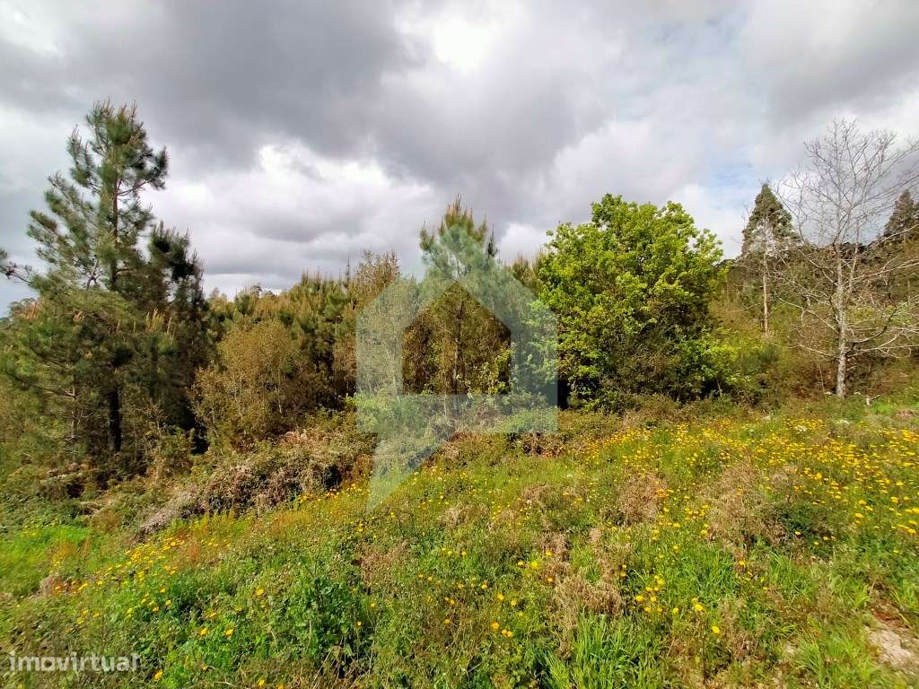 Terreno Urbano em Vilar de Figos, Barcelos - Grande imagem: 5/31