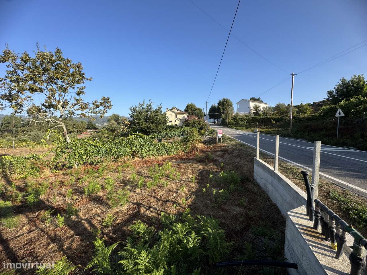 Terreno – Oliveira de Frades - Grande imagem: 4/23