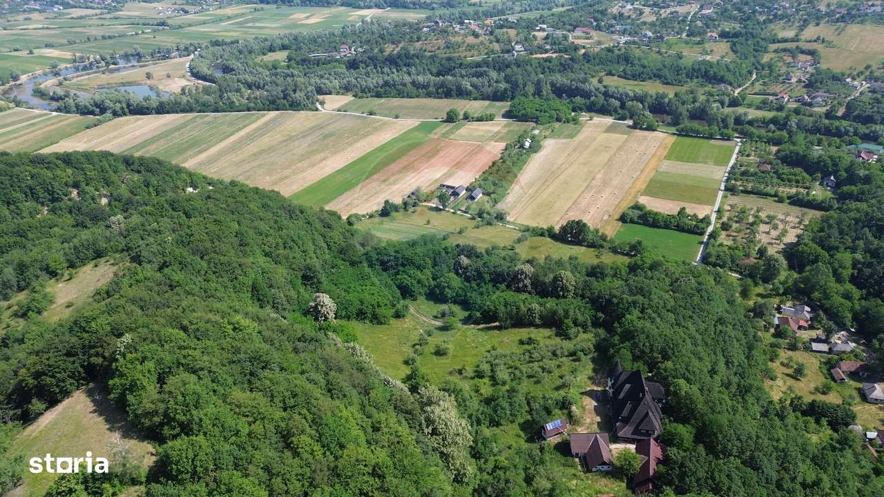 CASTEL DE VANZARE IN MARAMURES-11