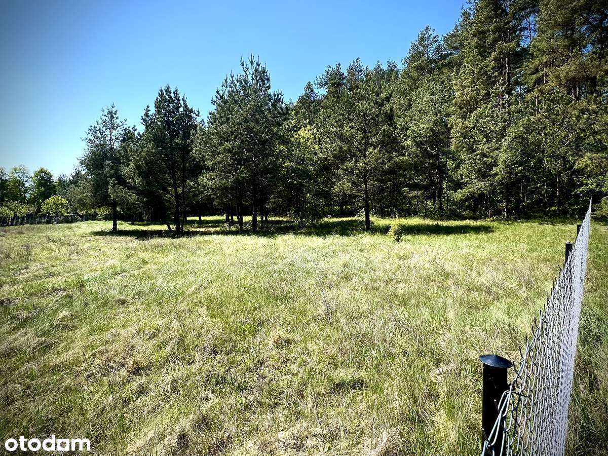 Piękna cicha działka budowlana z WZ pod lasem ogrodzona blisko Krutyni - Pełny obrazek: 5/20