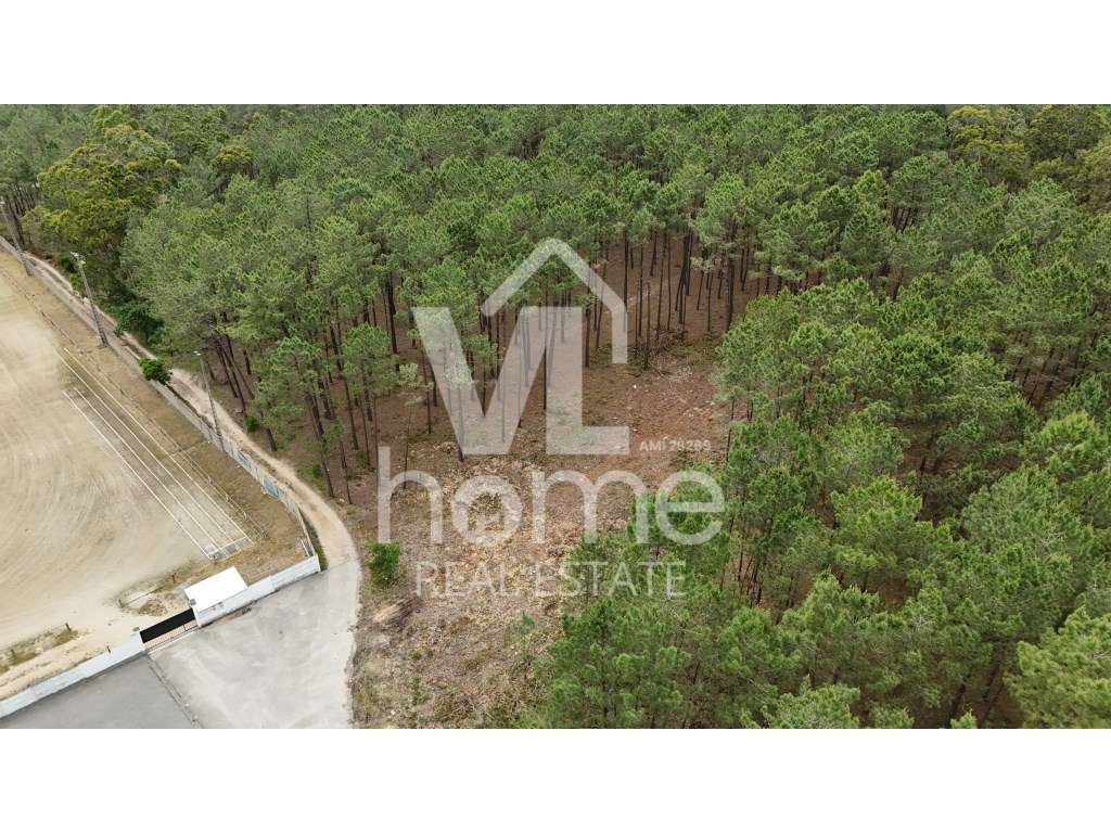 Terreno com Potencial para Moradias - Natureza e Conveniência de Mã...-15