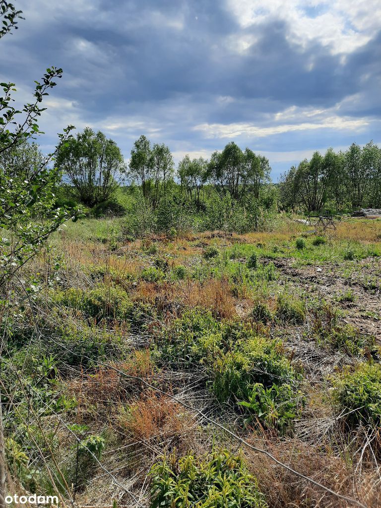 Działka na Jachcicach 3069 m2