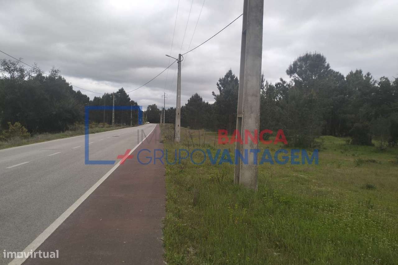 Terreno Rústico em Salvaterra de Magos - Grande imagem: 2/6