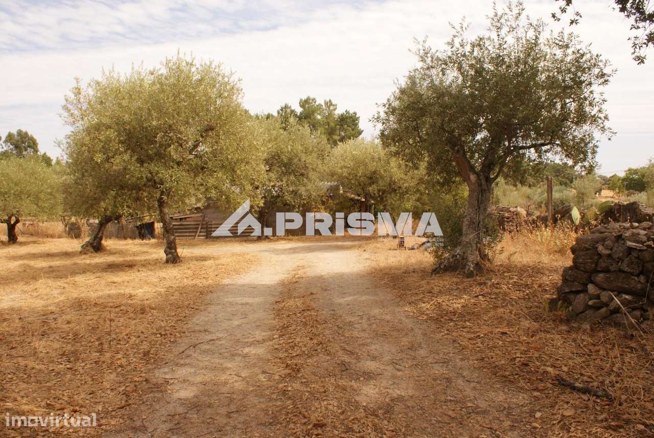 Quinta para Venda em Orca - Fundão-29