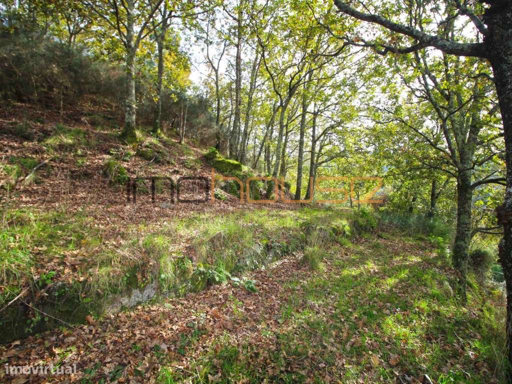 Quinta isolada - Amarante-28