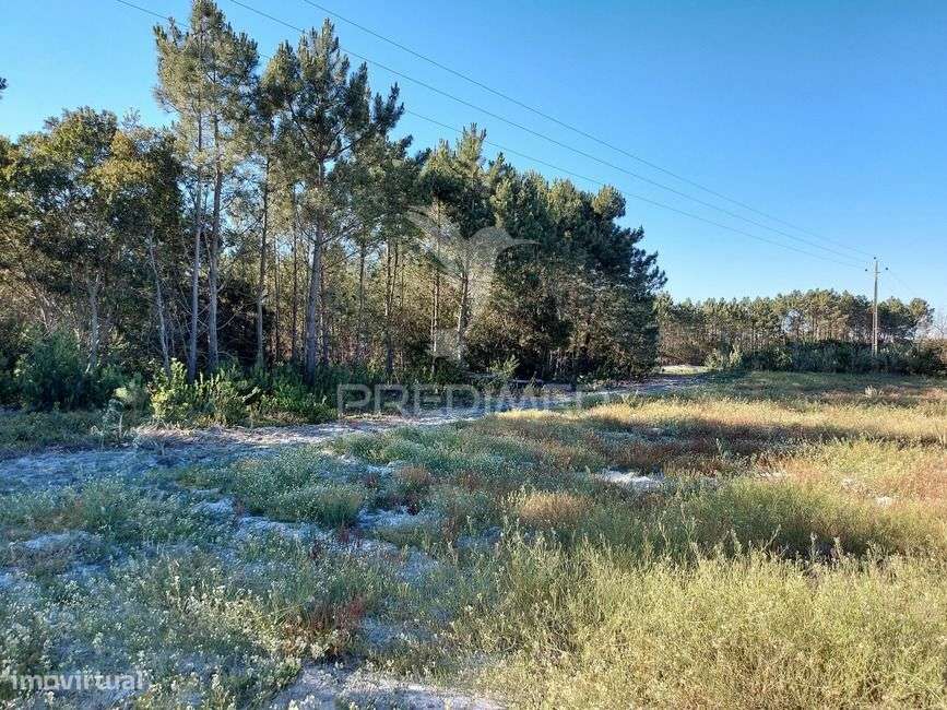 Terreno rustico 14280m2 na região de Aljezur Algarve - Grande imagem: 4/9