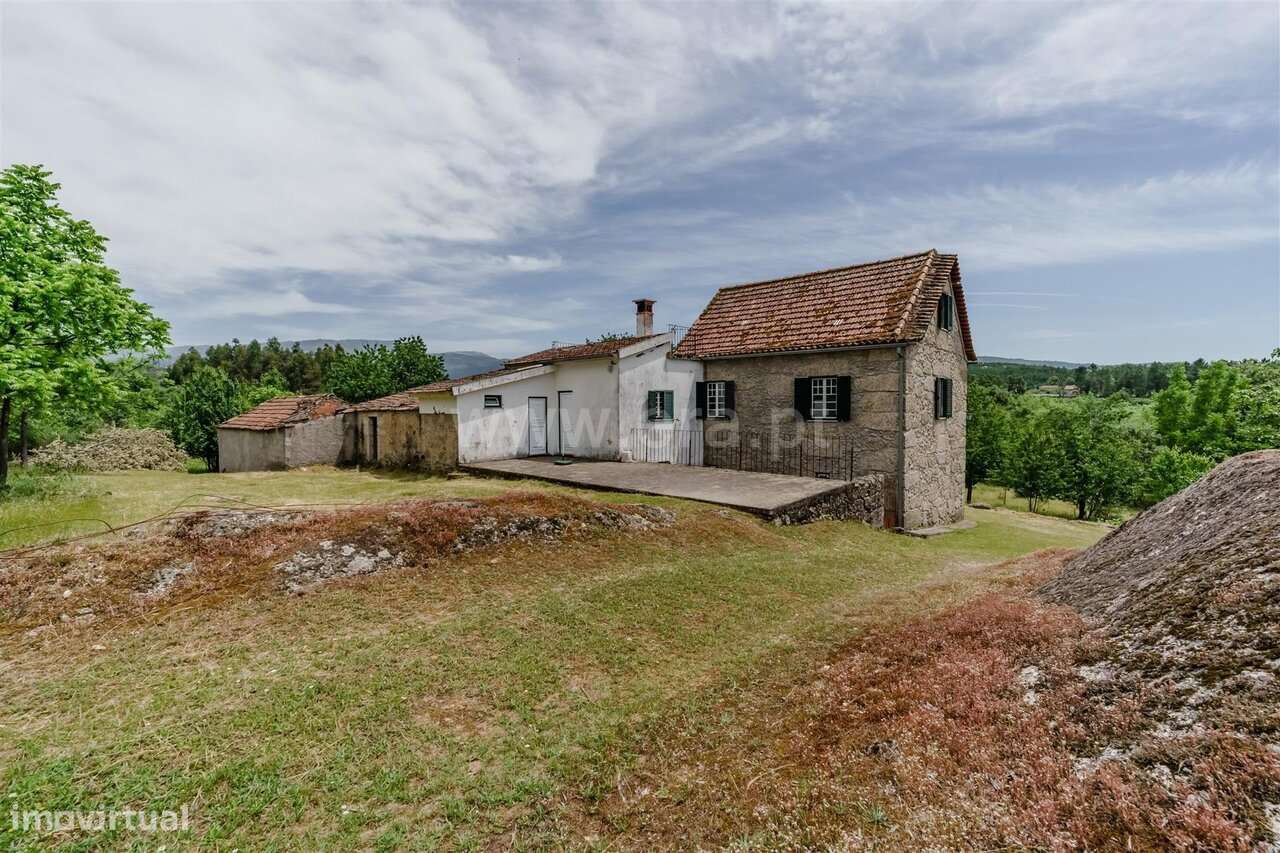 Quinta T4 / Seia, Folhadosa-11