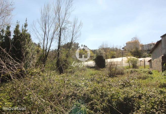 Terreno para loteamento Silvares S. Martinho Fafe-1