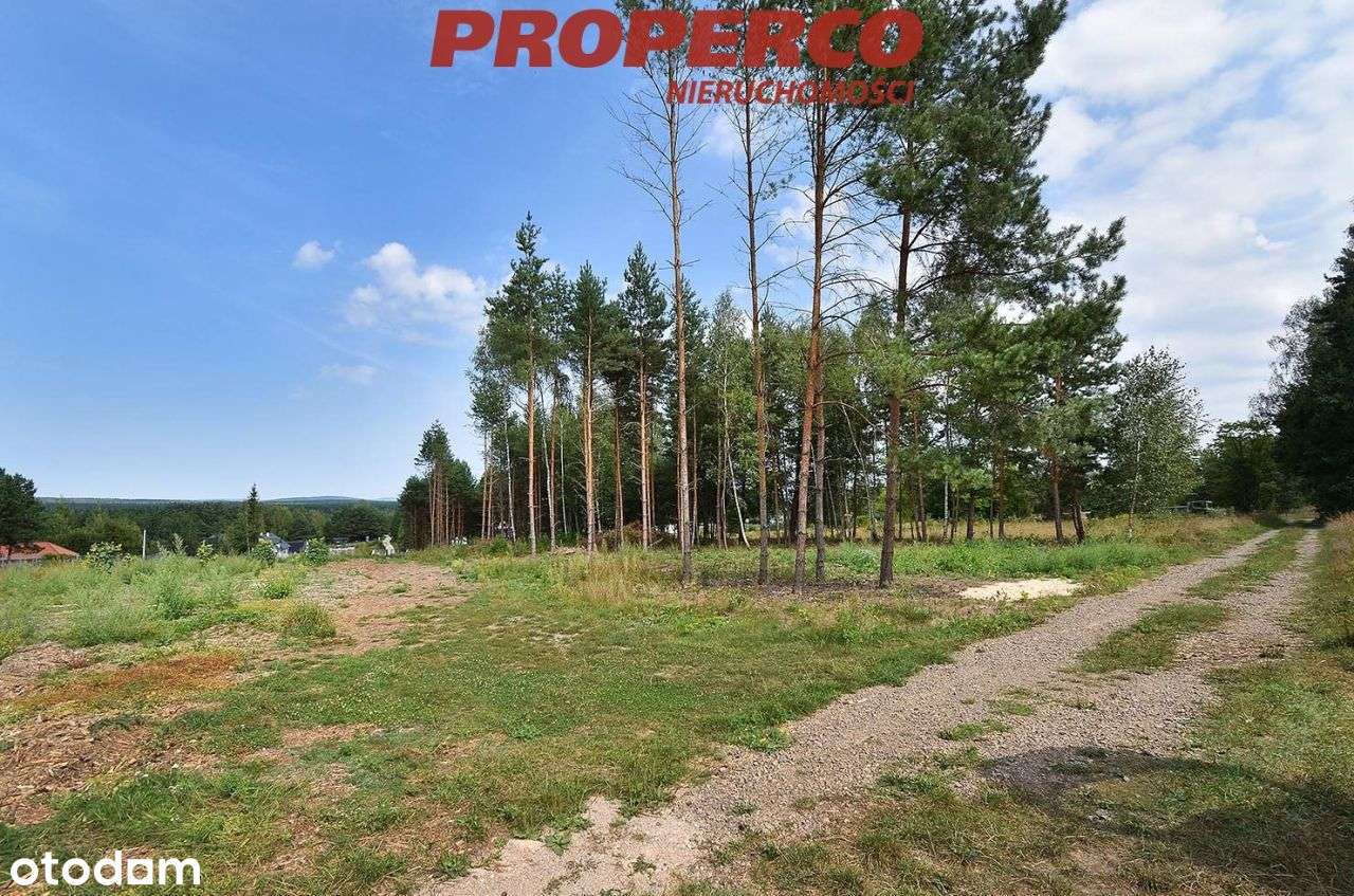 Działka 876m2, las, zalew - Borków gm.Daleszyce - Pełny obrazek: 4/7