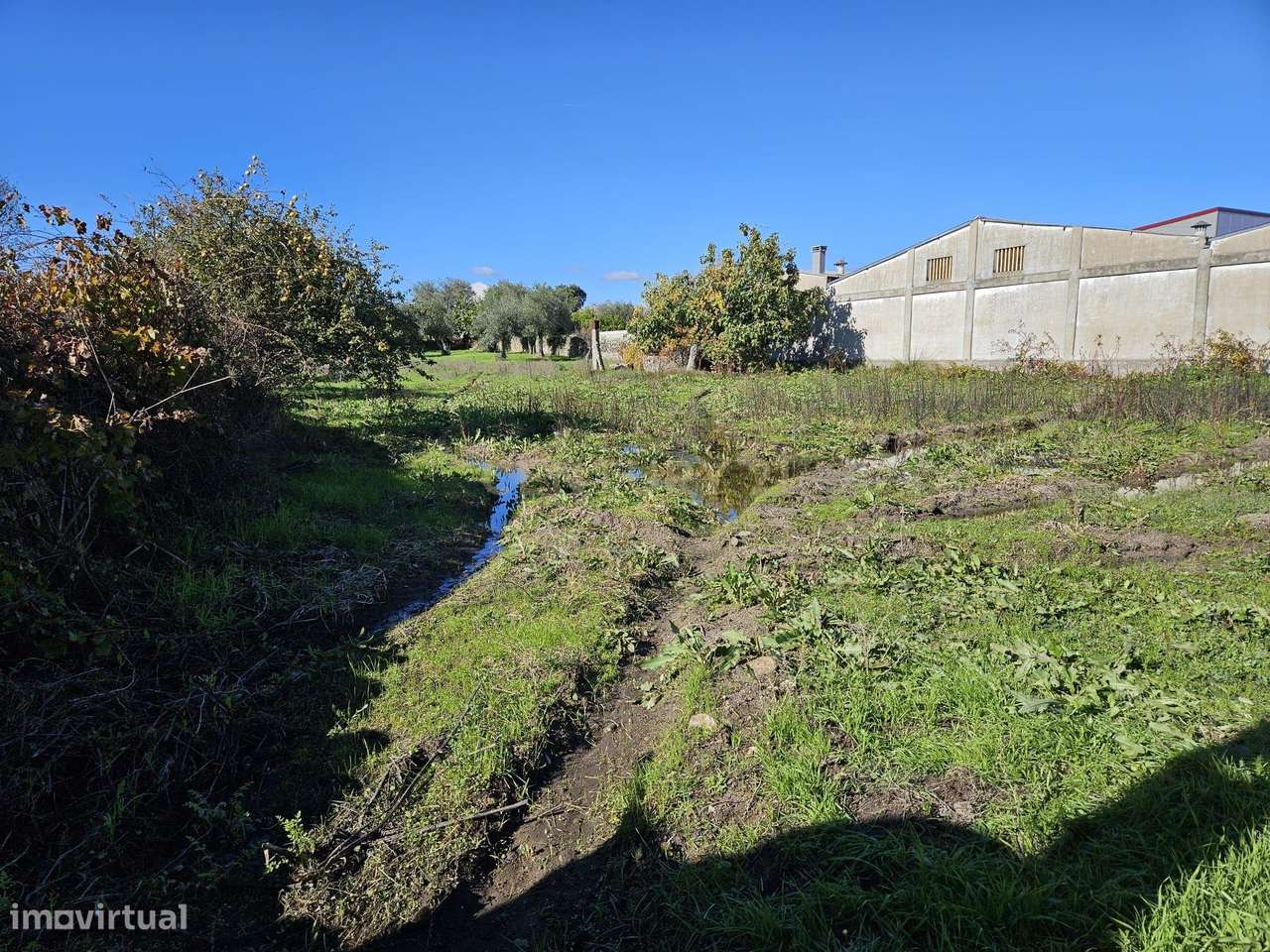 Terreno Rústico em Alcains: Vista Panorâmica e Excelente Localização - Grande imagem: 3/12