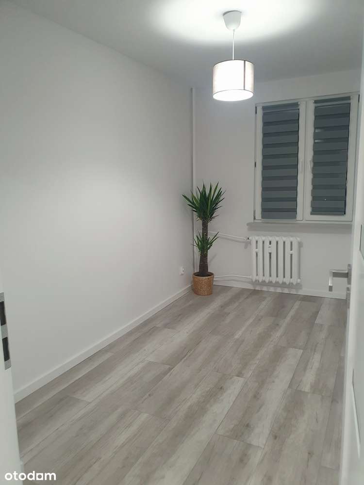 Wysoki standard, LSM, Blisko Uczelni-3