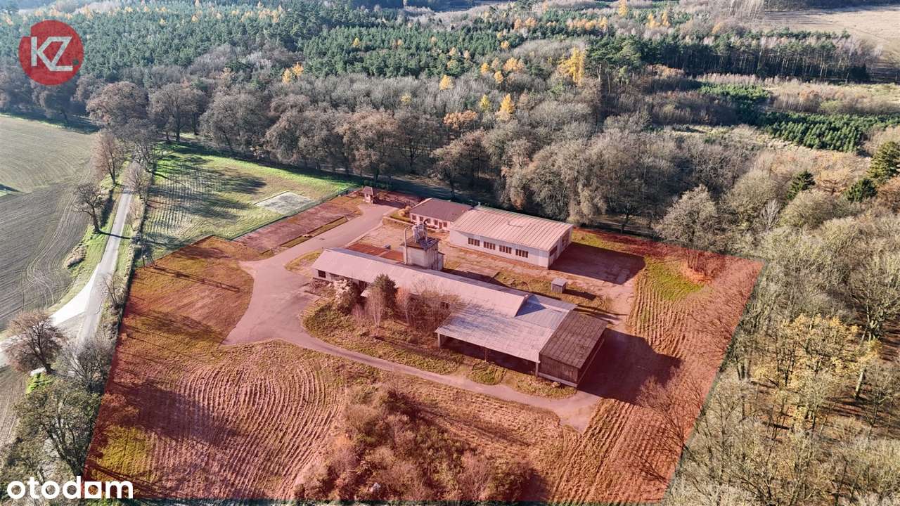 Obiekt na sprzedaż, Margonin (gw)-3