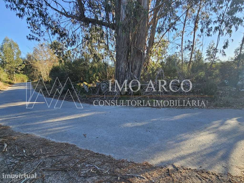 Terreno Rústico com 45.900 m² - Pedraça, Cabeceiras de Basto-11