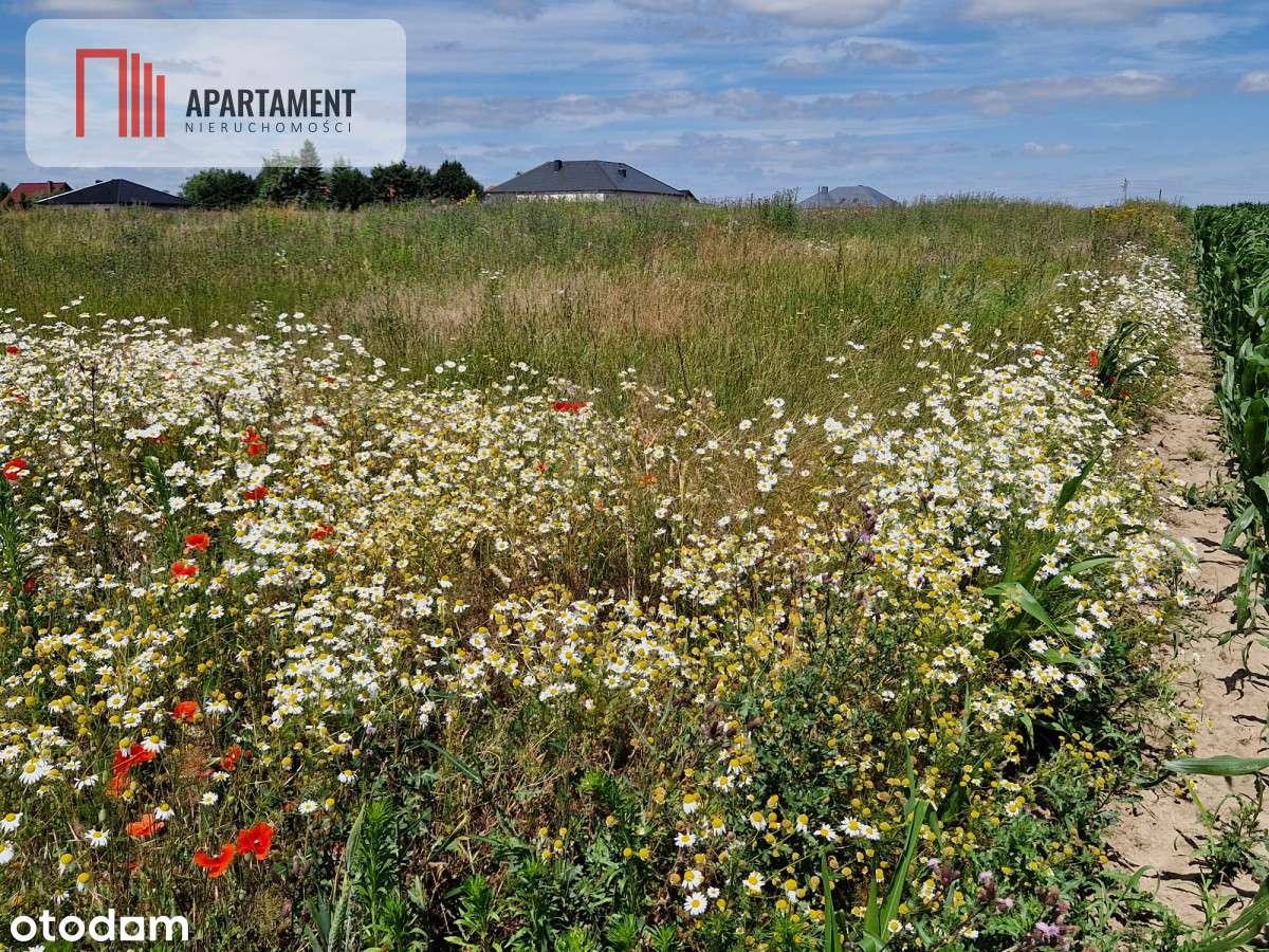 Działka budowlana z Mpzp - zabudowa jednorodzinna - Pełny obrazek: 4/10
