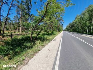 ul. Wiązowska, Emów, z linią brzegową rzeki