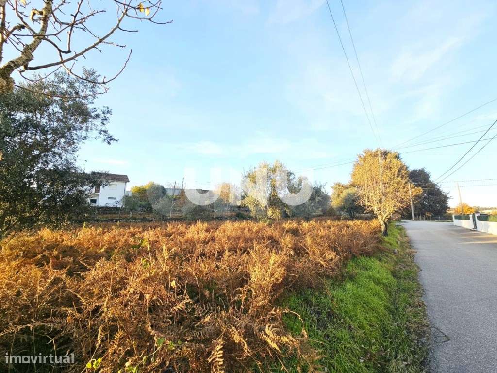 Terreno Rústico - Possibilidade de Construção-5