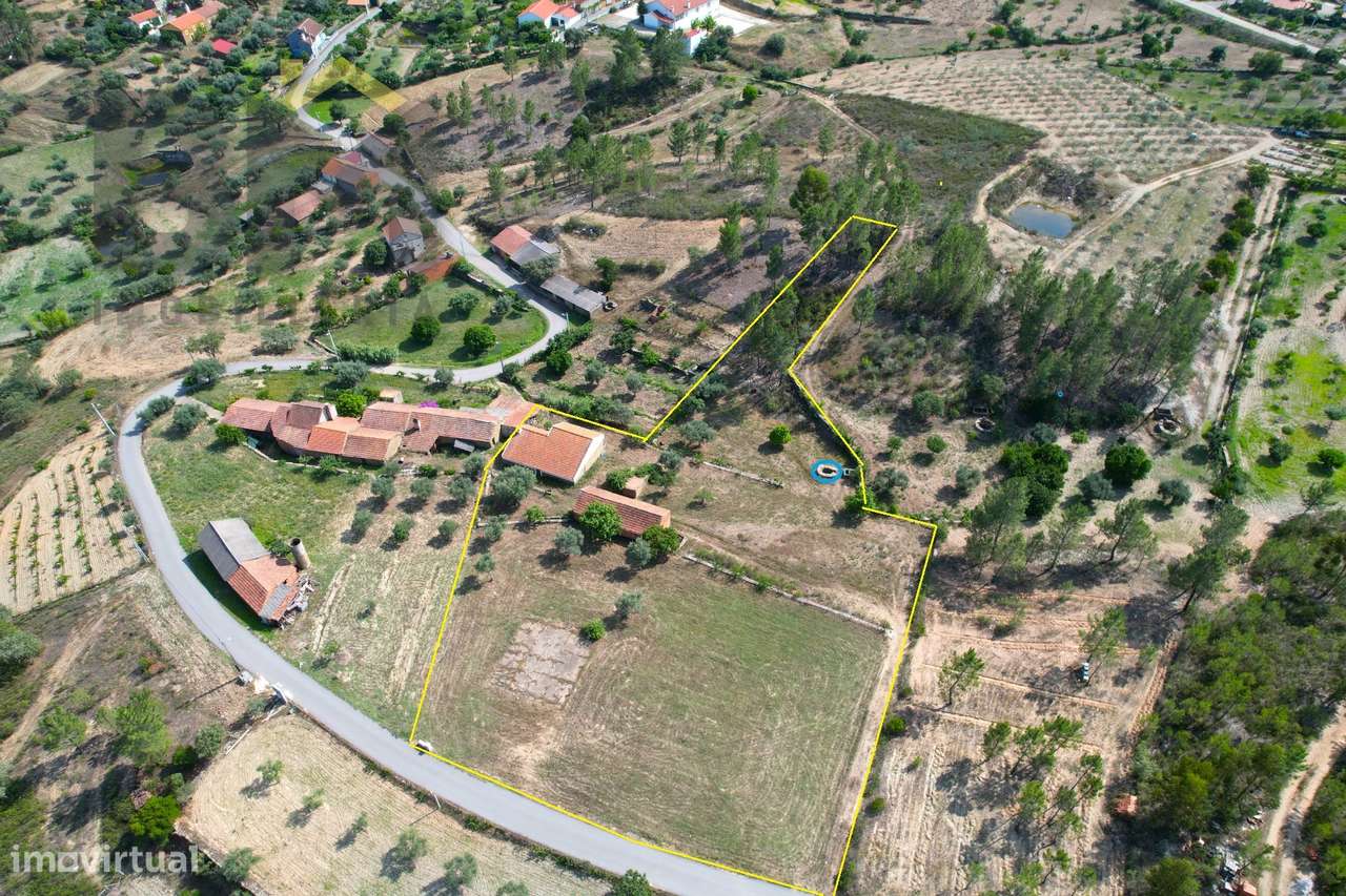 Moradia T3 Venda em Santo André das Tojeiras,Castelo Branco-36