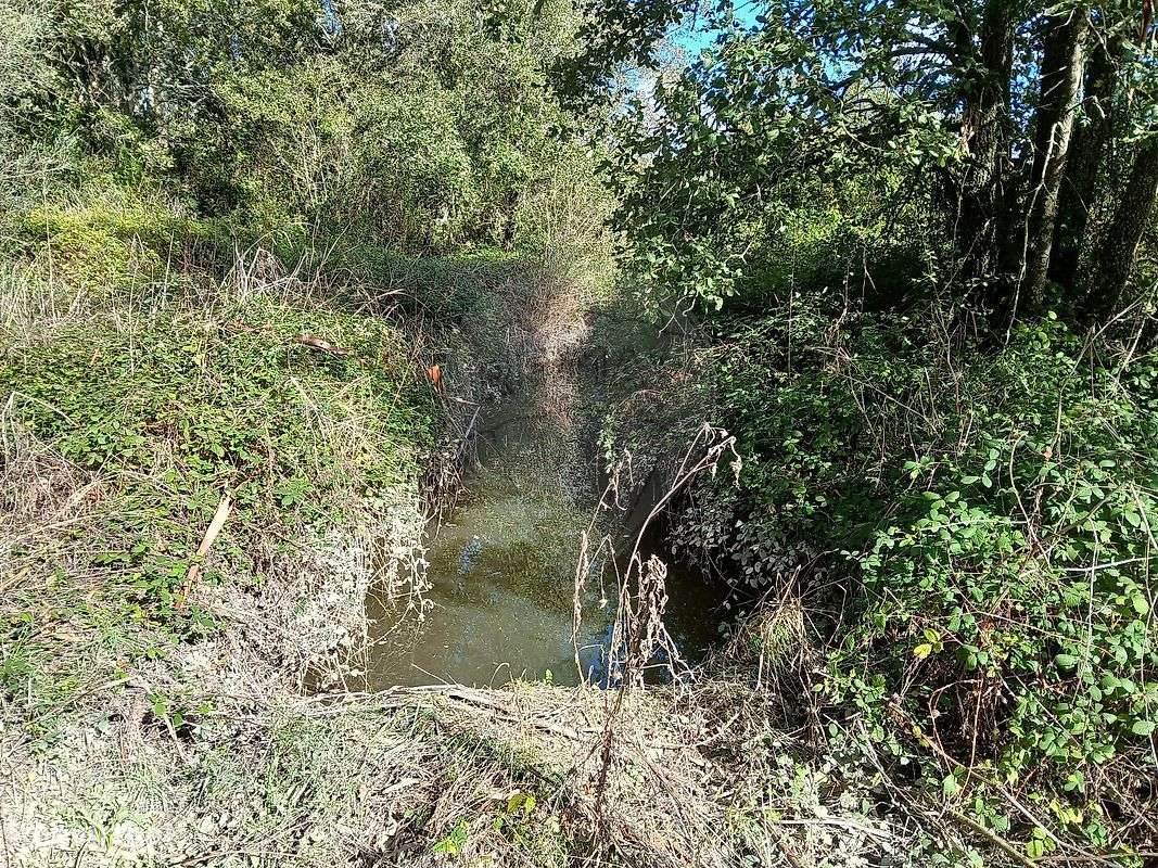 Terreno  para venda - Grande imagem: 5/8