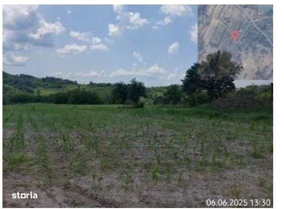 teren extravilan, loc. Bustuchin, Jud Gorj - Imagine principală: 1/3