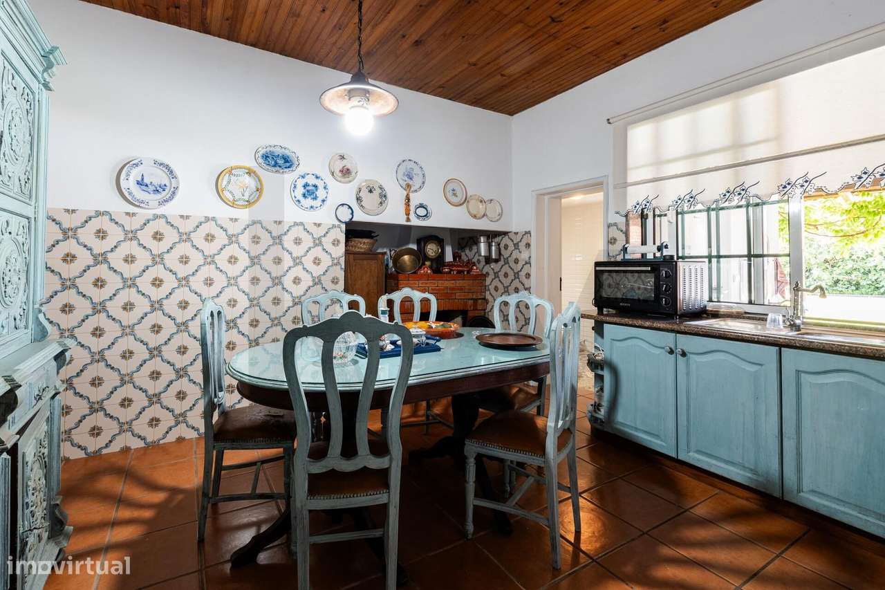 Quinta com 3 Casas  com Rentabilidade – Oliveira do Bairro - Grande imagem: 5/56