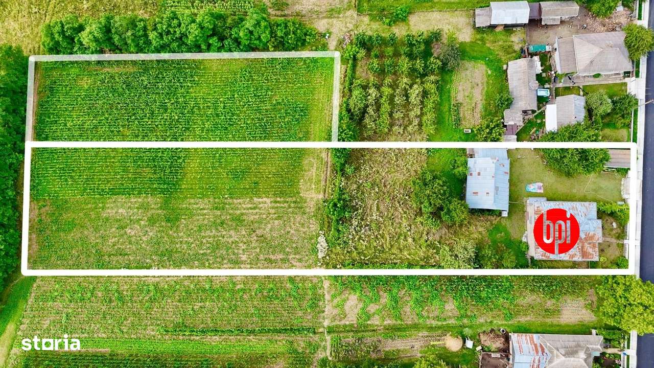 SE VINDE VILA cu 12 cam. “la gri” cu peste 40ari teren in Forasti, SV-2