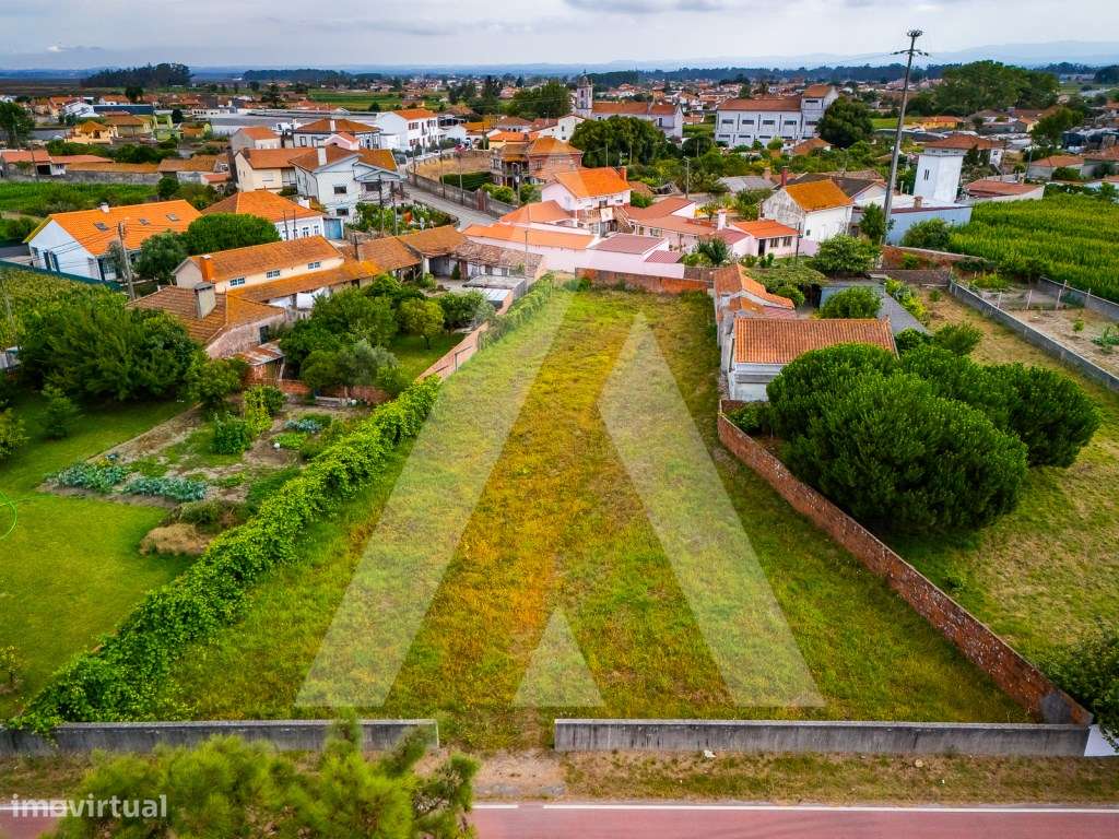 Terreno construção moradia - Murtosa - Ria de Aveiro-13