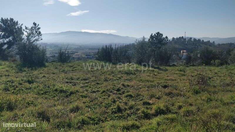 Terreno Rústico / Fundão, Alcaria - Grande imagem: 1/3
