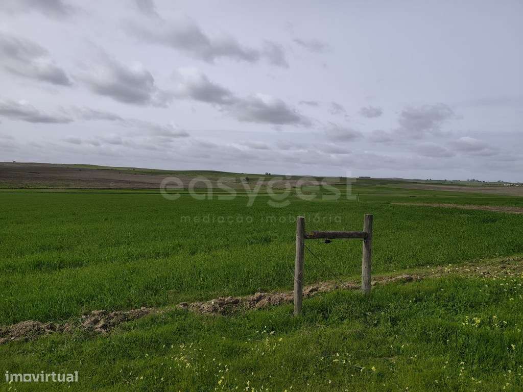 Terreno Rústico com área total de 10, 0375 ha, localizado na fregue... - Grande imagem: 4/19