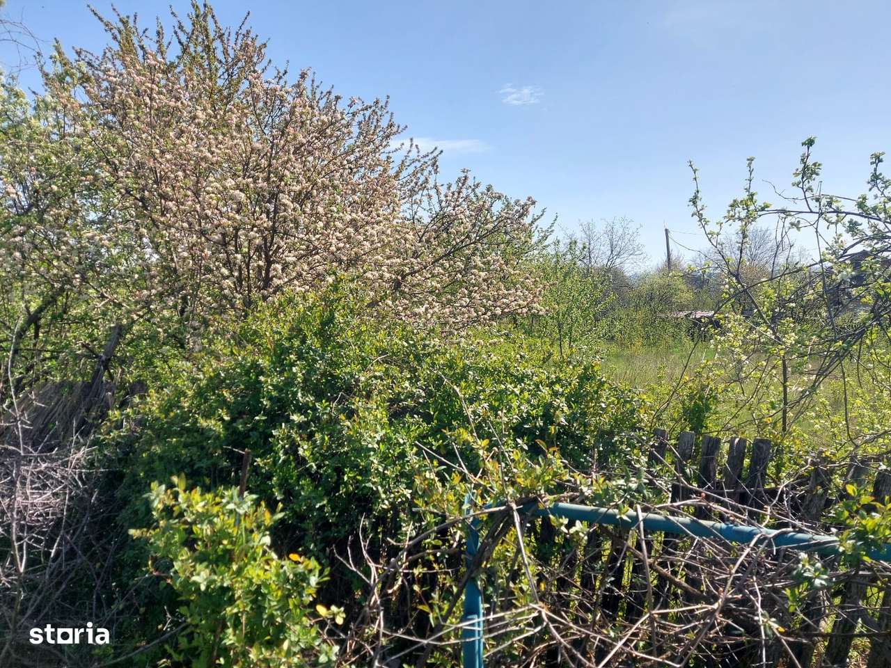 Teren centru Miroslava, langa Aauchan, intre case, toate utilitatile-2