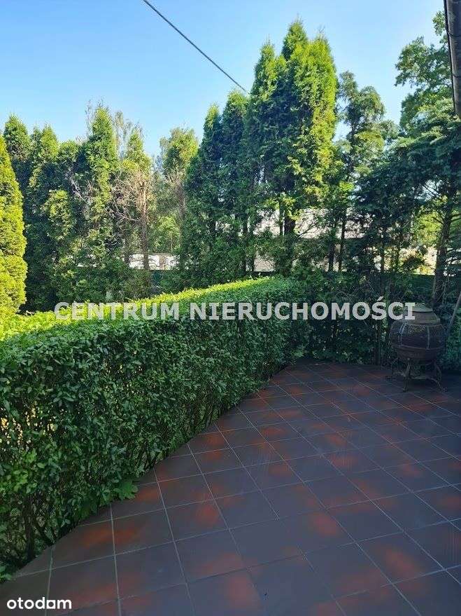 KLIMATYCZNE,PONADCZASOWE Z DUŻYM TARASEM WŚRÓD ZIELENI!!!-8