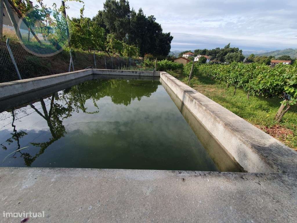 Quintinha à venda- Arco de Baúlhe-59
