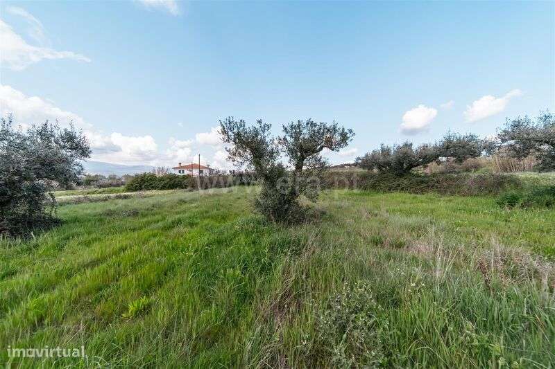 Terreno Rústico / Fundão, Aldeia Nova - Grande imagem: 3/11