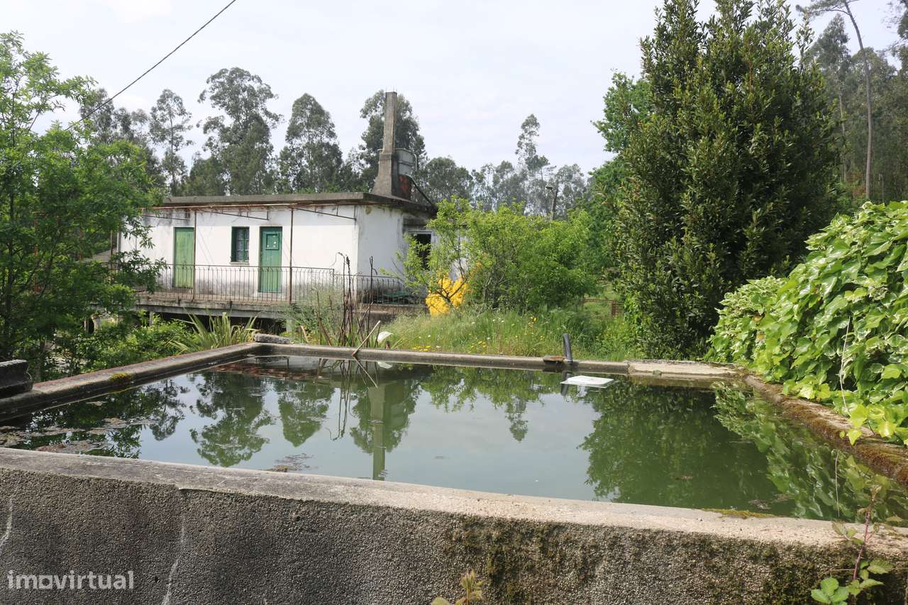 Moradia  para restauro em terreno urbano com 8.000 m2  e Fiscal Amares - Grande imagem: 5/22