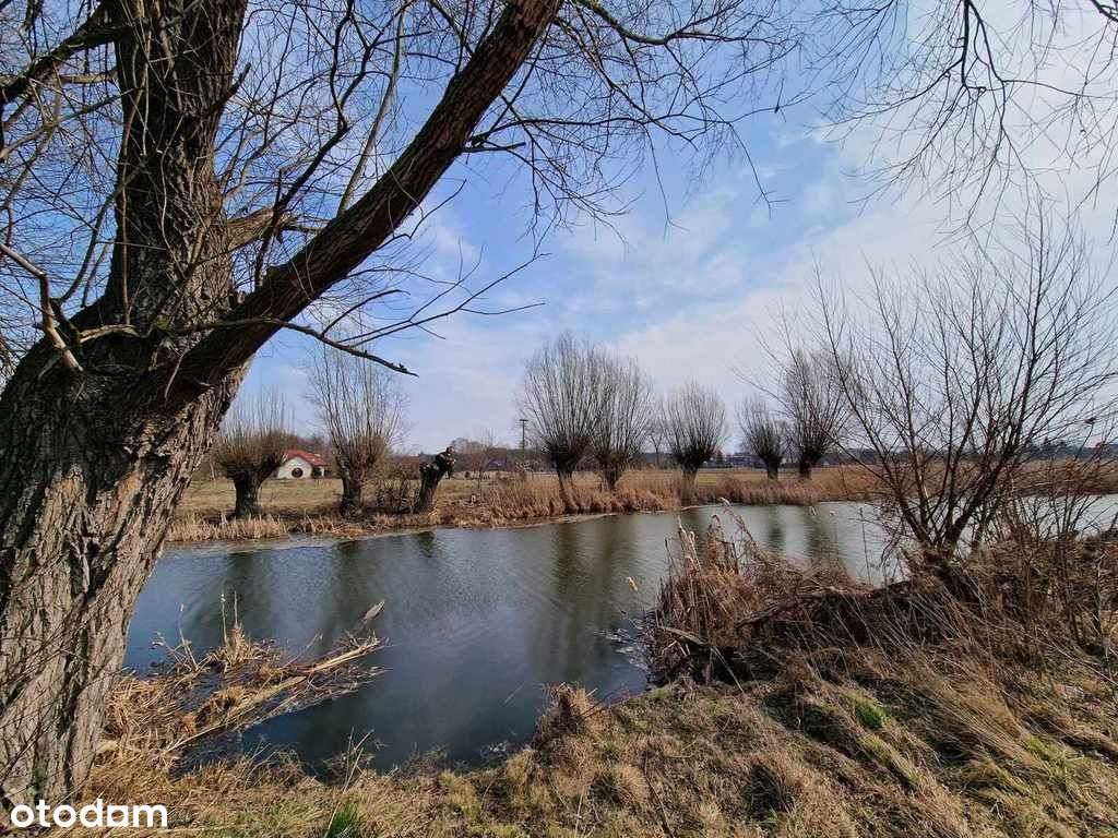 Działka rolna 5400m2 / Dziecinów/ Góra Kalwaria - Pełny obrazek: 5/5